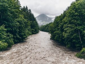 River flowing through forest valley