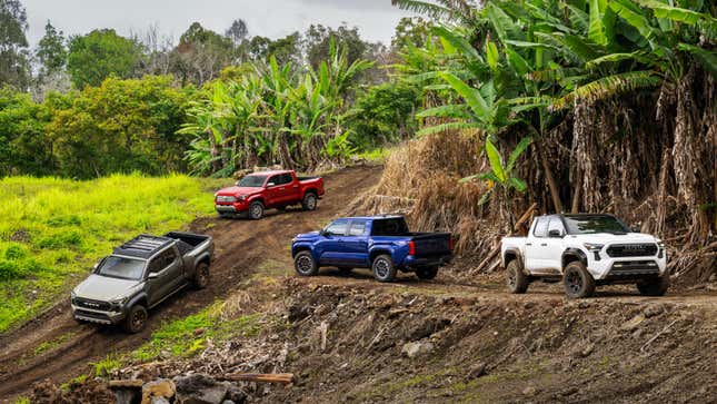 2024 Toyota Tacoma Lineup