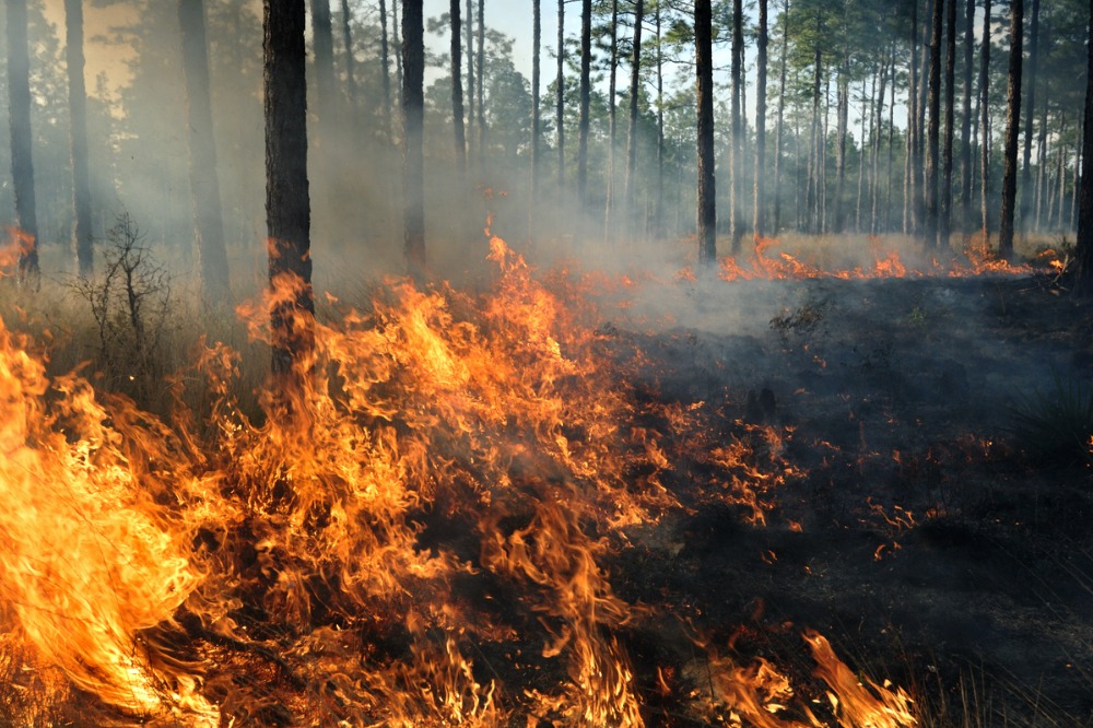 Halifax-area wildfire inflicts devastating impact on community