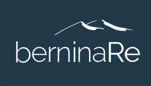 bernina-re-logo