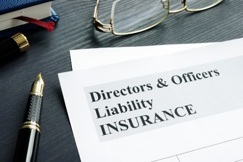 Directors and Officers Insurance Insights 2023