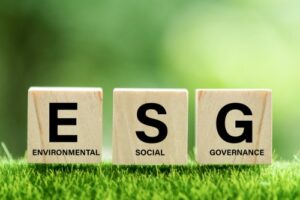 Environmental insights: A Primer on ESG programs