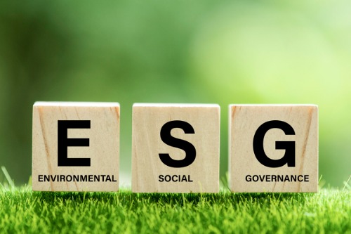 Environmental insights: A Primer on ESG programs