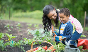 Spring gardening.