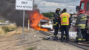 Tesla Asks Model Y Owner To Tow Burned-Out Car To Service Center