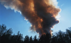 Unprecedented wildfires may trigger insurance premium hikes – Desjardins CEO