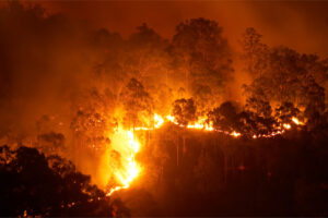 Insurer files lawsuit over Lytton wildfire