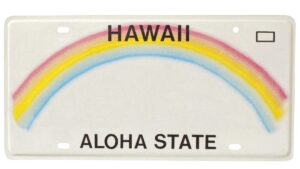 Hawaiian Man Loses Appeal To Keep Anti-BLM License Plate