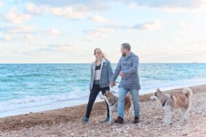 Dog bans come into place at UK beaches