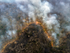 Wildfires releasing CO2 emissions and other greenhouse gases