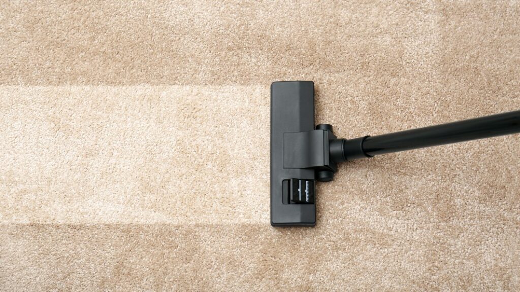 The best carpet cleaners of 2023