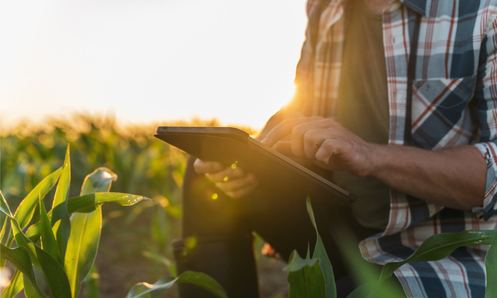 Saskatchewan implements crop insurance changes amid drought conditions