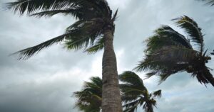 As climate catastrophes increase, here's how employers can prep for hurricane season