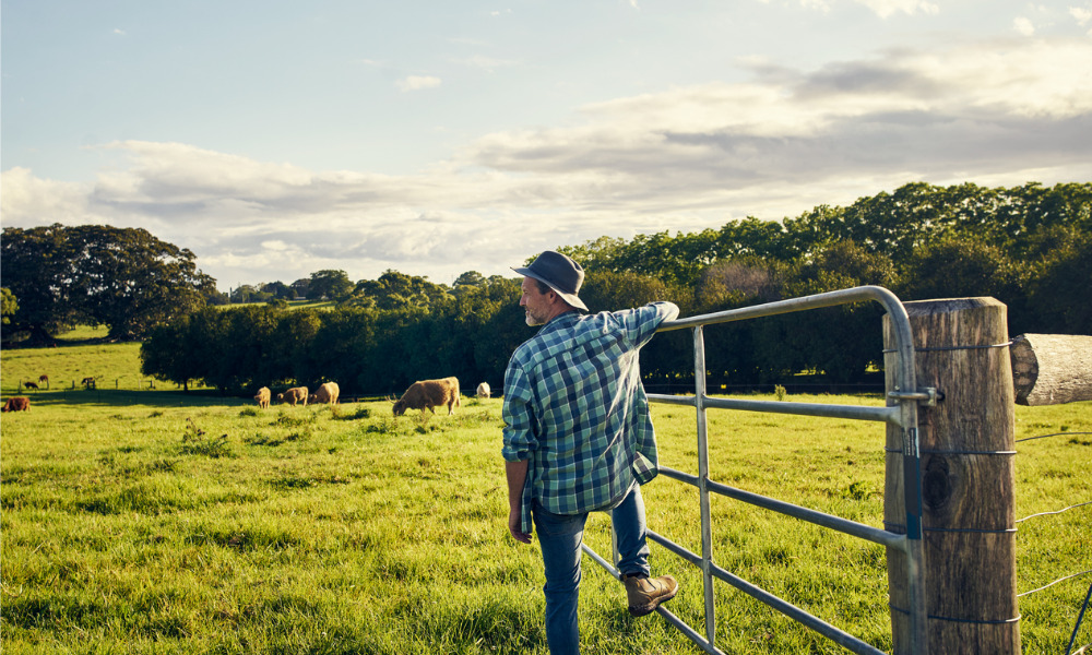 Quebec farmers call for better insurance coverage amid extreme weather