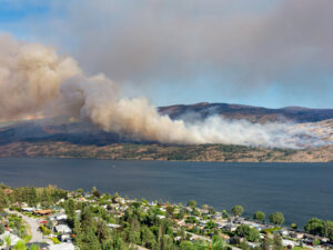 A forest fire near Peachland, B.C.