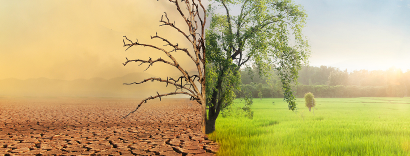 Climate Change Header