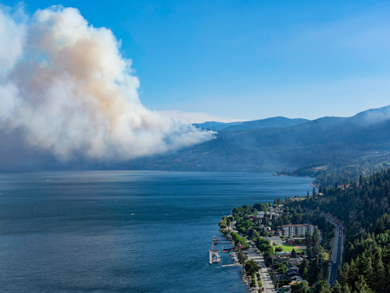 A forest fire near Peachland, B.C.