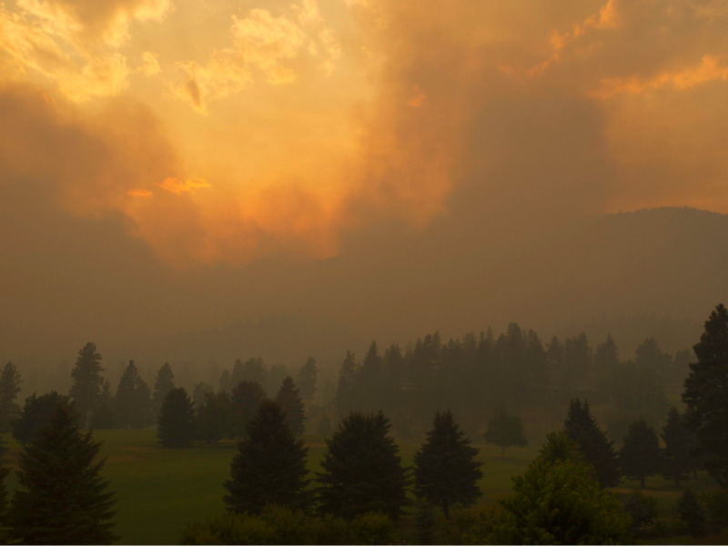 B.C. must urgently change forest strategies or face more wildfire disasters: report