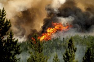 Donnie Creek wildfire in B.C.