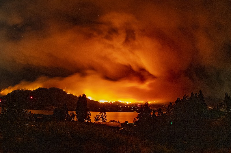 A forest fire burns among a residential area