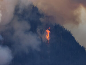 B.C. forest fire and smoke over the mountain