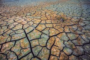 'Record' drought insurance coverage available for Saskatchewan farmers