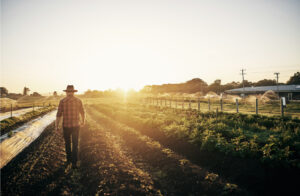 Agriculture fire prevention during the harvest season