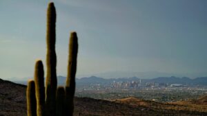 Hot Asphalt Is Sending Phoenix Residents To The Hospital With Third-Degree Burns