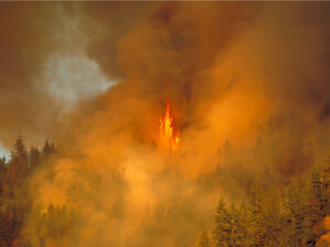 Forest fire in Penticton, BC