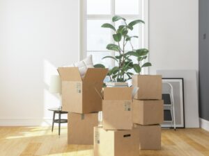 Boxes and plants stacked up by someone moving in to a new condo.