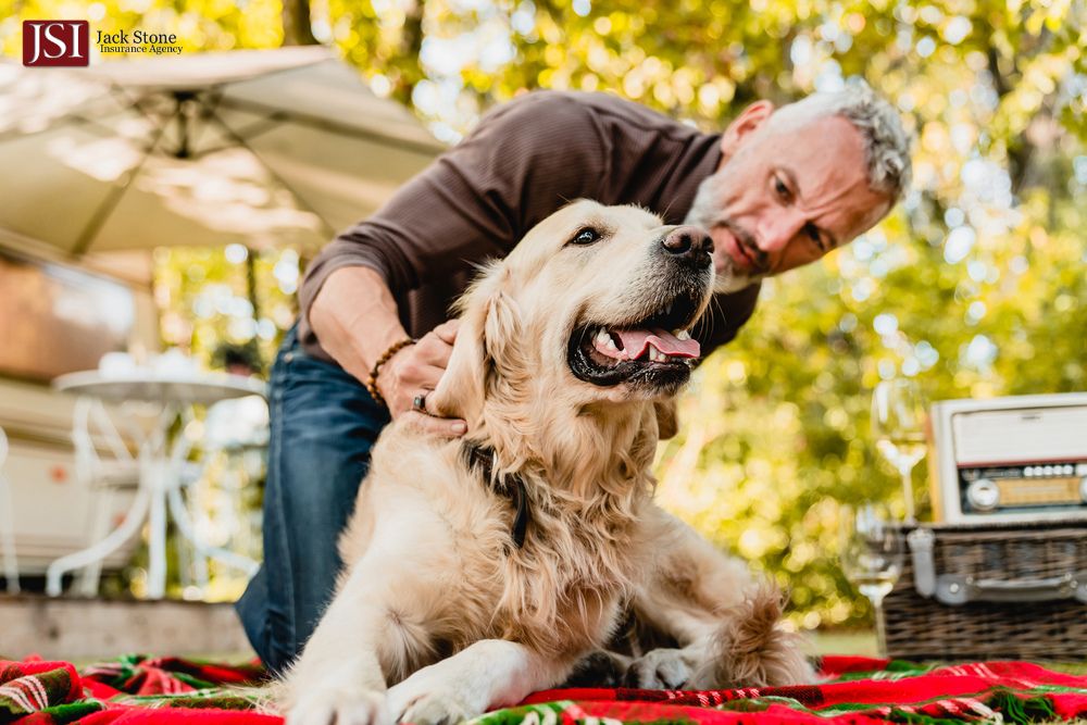 Pet Insurance for Older Dogs: Assurance for You & Your Dog