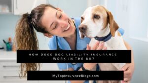 How Does Dog Liability Insurance Work in the UK?