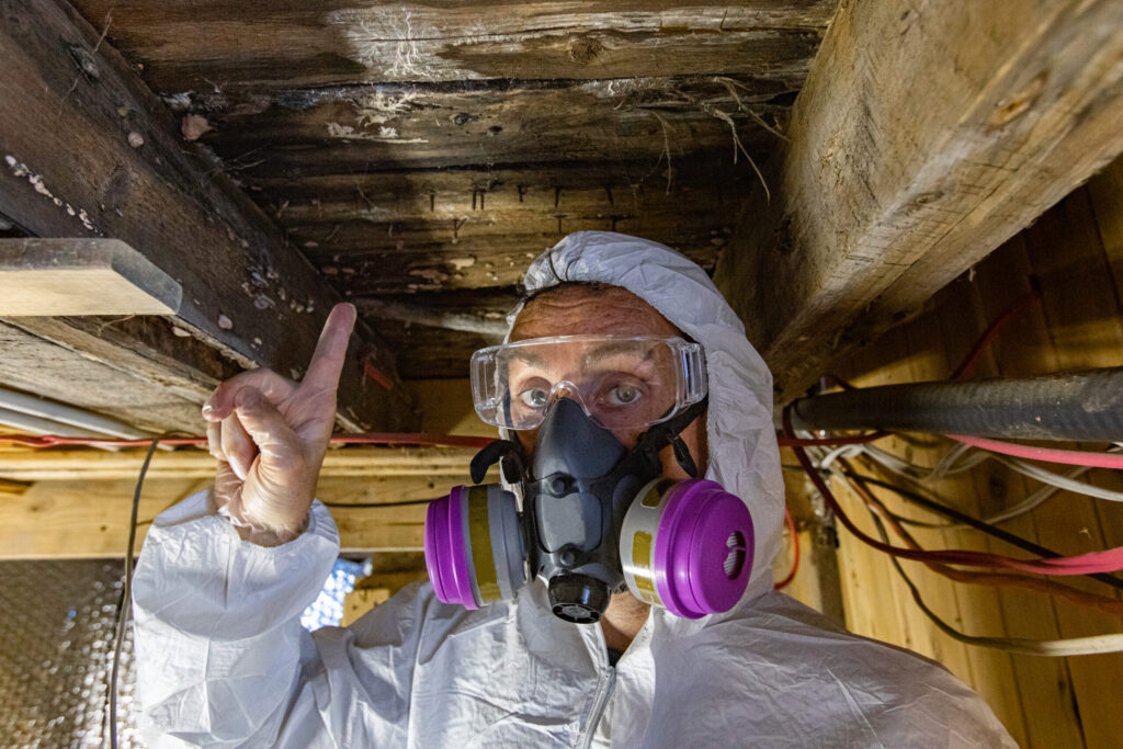 Keep Mold Out of Your Home