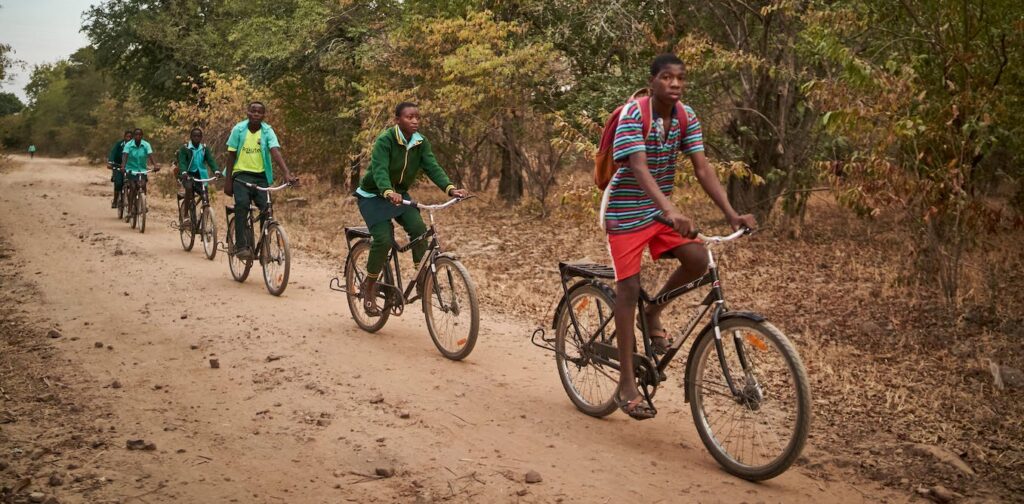 Zimbabwe’s climate action plan: a win for the environment, health and energy