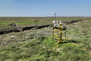 Aviva and WWF launch innovative saltmarsh research in Lancashire