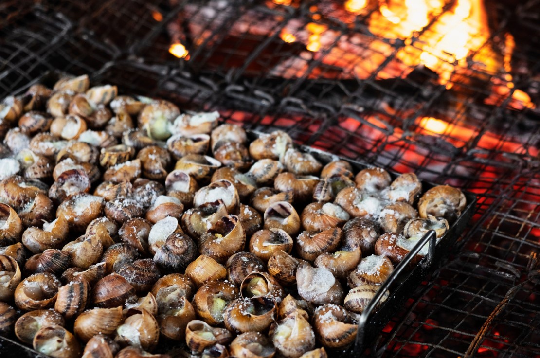 cooking snails