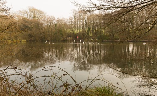 cycle routes in cornwall