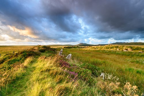 cycle routes in cornwall