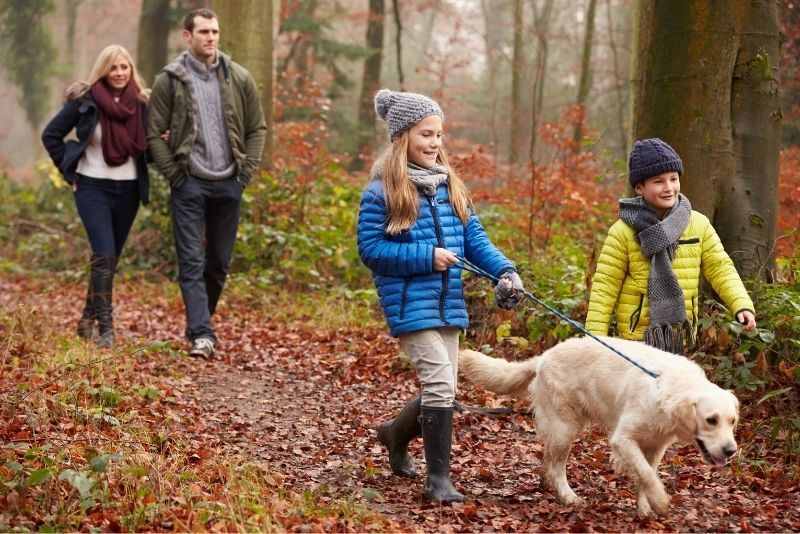 Winter dog walking – our top tips!