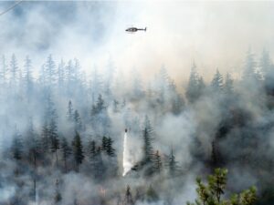 Aerial firefighting for a forest wildfire in Canada