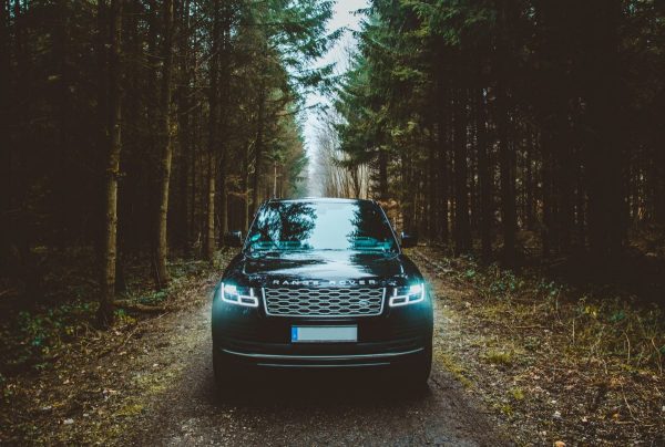 Range Rover driving through forest