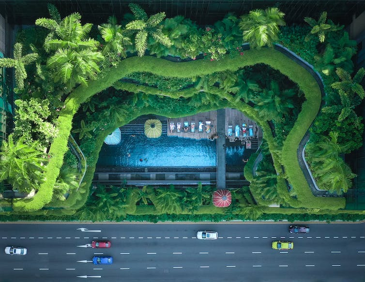 An overhead view of greenery in a city next to a road.
