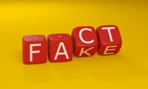 Disinformation cited as the biggest short-term risk of 2024