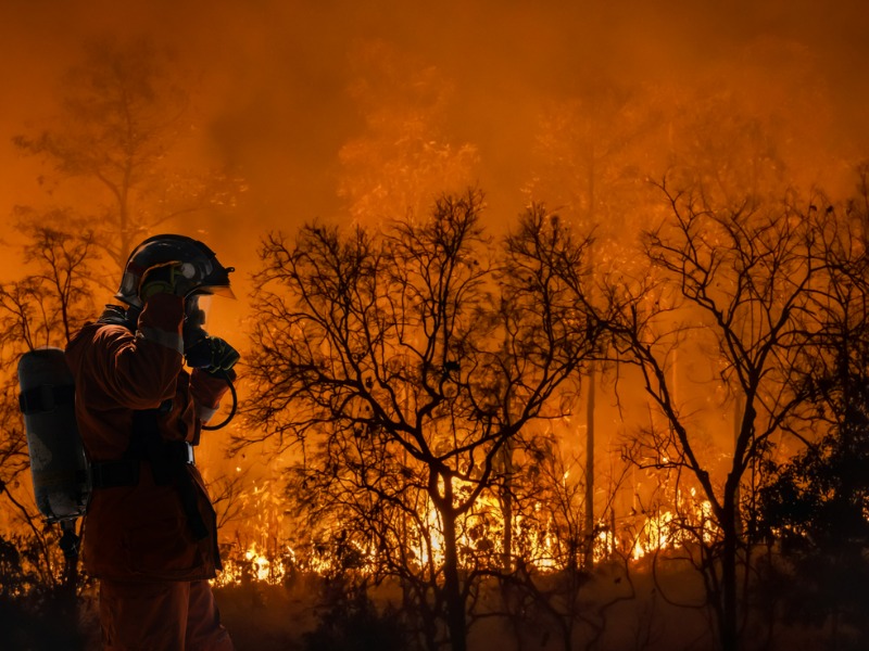 Firefighters battle a wildfire blaze