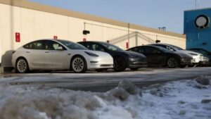 Tesla owners share their tips on how to deal with extreme cold