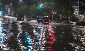 Flood-related insurance fraud exposes consequences for Auckland resident