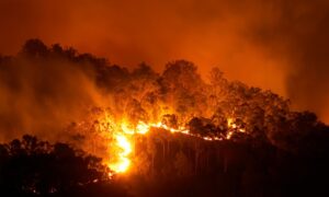 Texas faces second-largest wildfire in state history