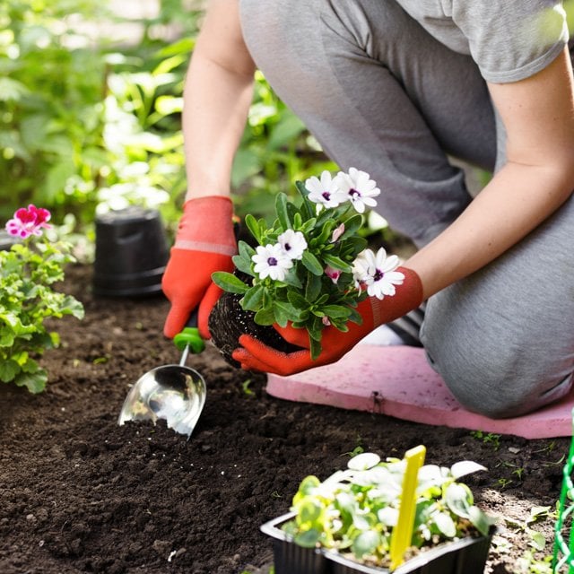 A gardener