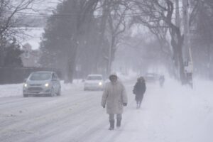 Much of Nova Scotia paralyzed following snowstorm