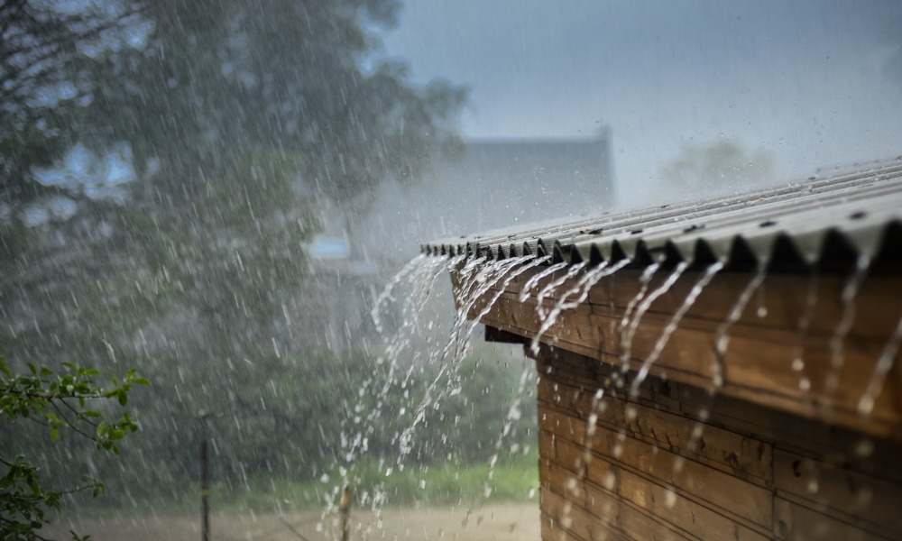 Natural hazards shape New Zealand homebuyers' decisions, report finds